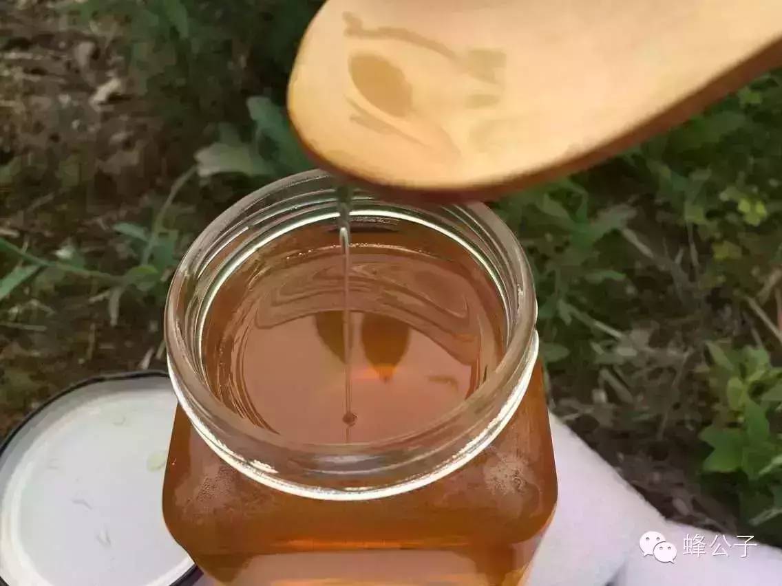 一瓶冷水教你分辨出真假蜂蜜！