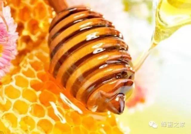 蜂巢蜜 蜂毒作用 蜜粉 蜂蜡的作用与功效 菊花蜂蜜