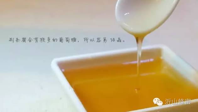 蜜蜂视频 菊花蜂蜜 天喔蜂蜜柚子茶 最好的蜂蜜 长寿