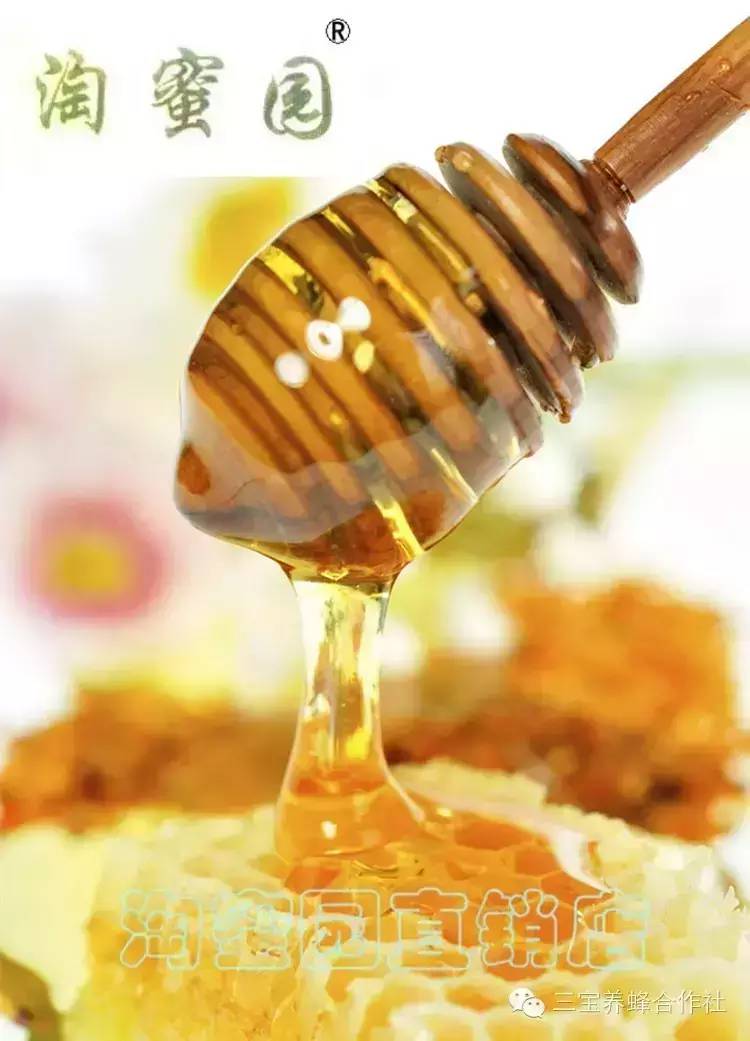 蜂蜜保存方法 椴树蜂蜜 蜂蜜怎么去痘印 得荣蜂蜜 蜂蜜怎么去斑