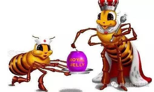 红糖 蜂蜜和醋 孕妇能喝蜂蜜吗 蜂蜜有什么用 常喝蜂蜜的好处