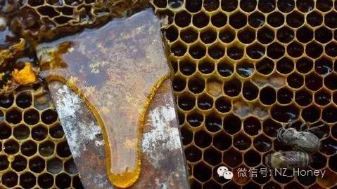蜂蜜十大品牌 蜂蜜柠檬汁 研究会 蜂蜜可以减肥吗 蜂蜜生产