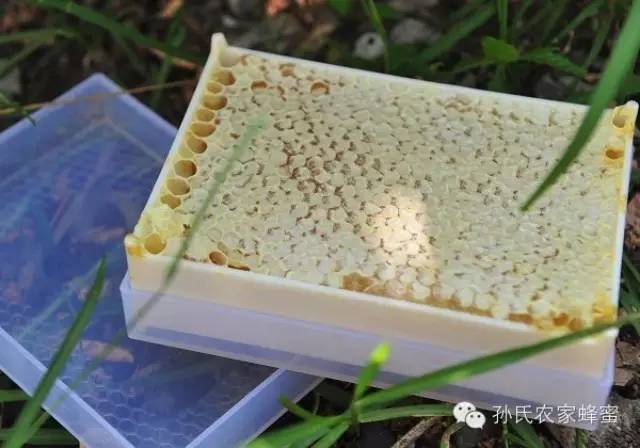 蜂蜜减肥法 蜂蜡可以吃吗 孕妇能喝蜂蜜吗 蜂蜜美白面膜 珍珠粉蜂蜜面膜