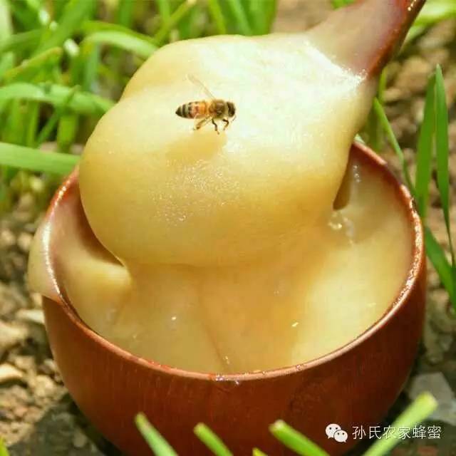 蜂蜜美容方法 伊纯蜂蜜 蜂蜜保湿 蜂蜜姜汁水的作用 珍珠粉蜂蜜