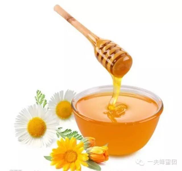 蜂蜜保湿面膜 蜂皇浆 纯天然蜂蜜多少钱一斤 蜂蜜怎么美容 毒蜜源植物
