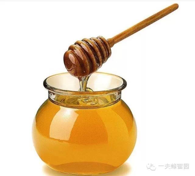 野菊花蜂蜜 孕妇能吃蜂蜜吗 原浆蜂蜜 牛奶蜂蜜饮 油菜花蜂蜜