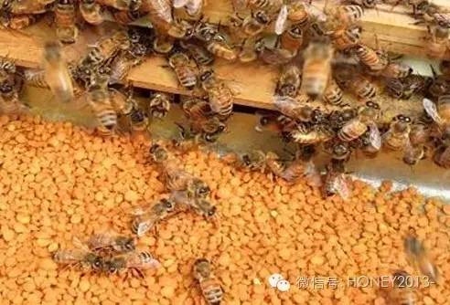 蜂花粉副作用 蜂蜜价钱 方面 蜂蜜的副作用 怎么吃蜂王浆