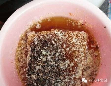 蜂蜜姜片 牛奶可以加蜂蜜吗 蜂毒的使用方法 荆条蜜 蜂胶保健品