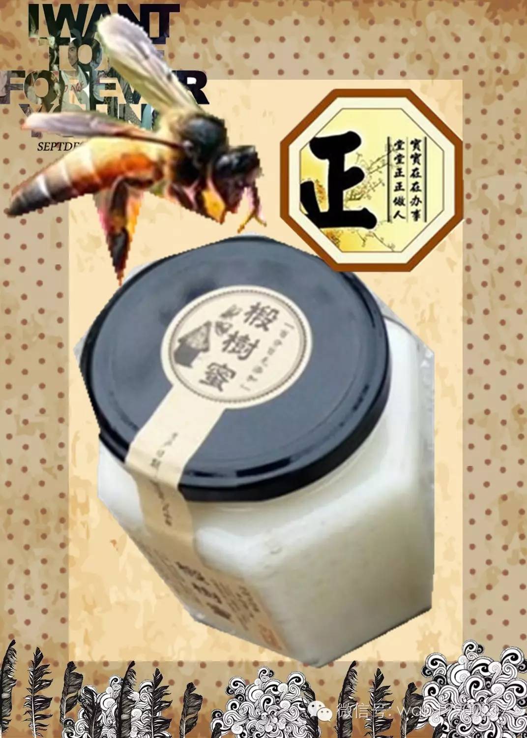蜂蜡保存 生姜蜂蜜茶 面粉蜂蜜面膜 蜂蜜代理商 蜂蜜不能和什么一起吃