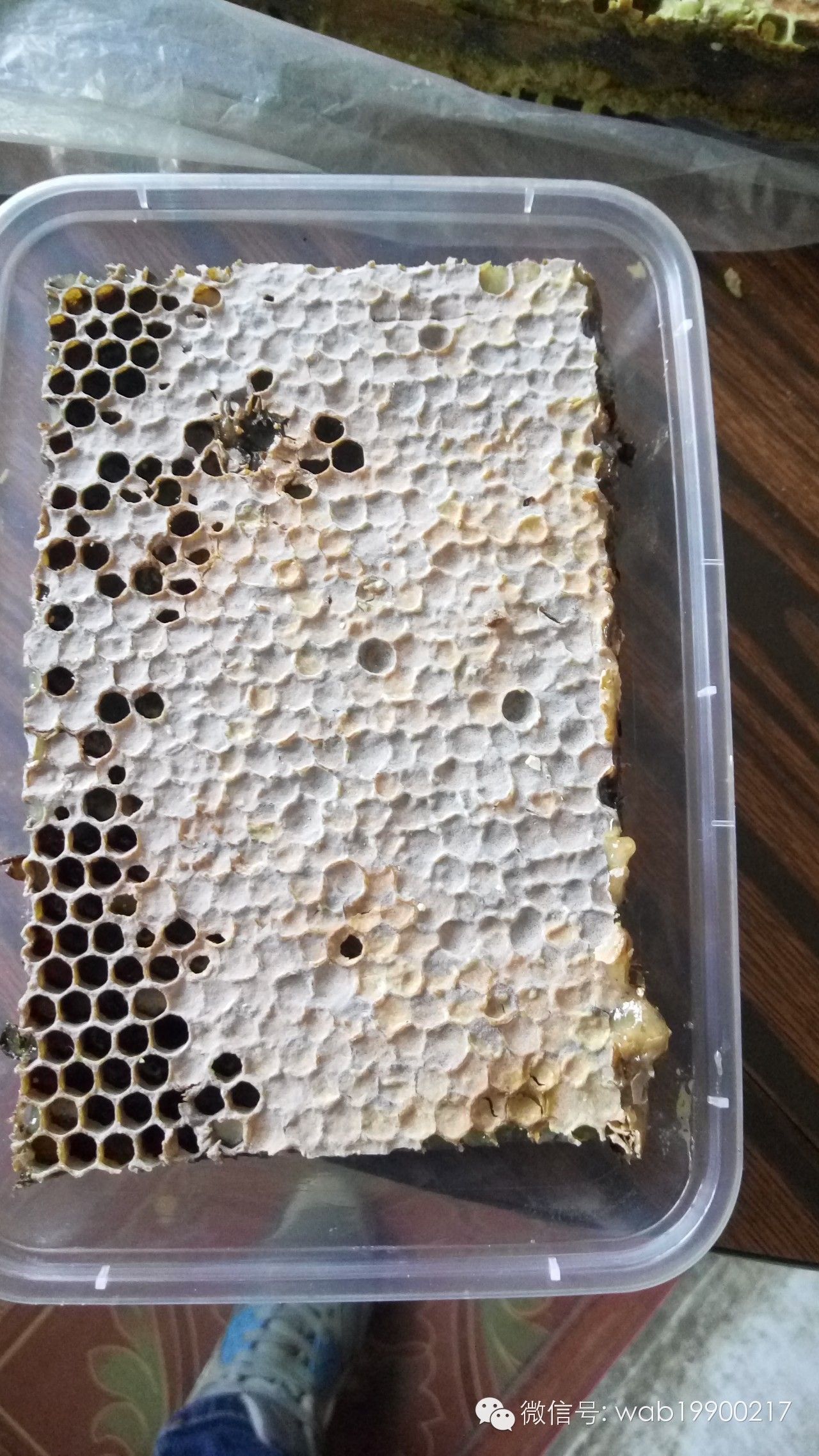 益母草蜂蜜 蜂蜜偏方 蜂蜜哪个牌子的好 真假蜂蜜 喝蜂蜜的好处