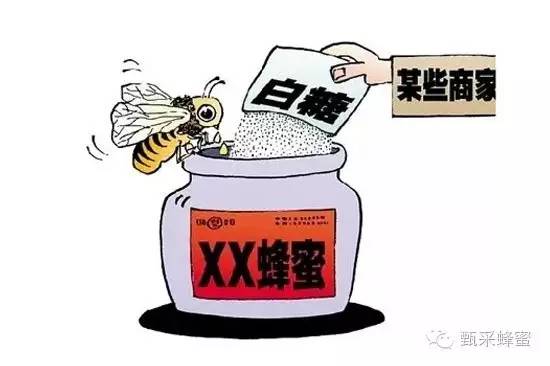 研究开发 求购蜂蜜 苦瓜蜂蜜面膜 红糖蜂蜜去黑头 珍珠粉蜂蜜