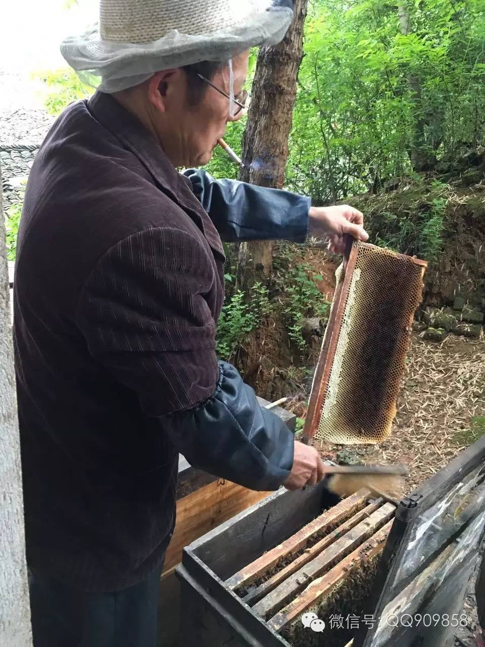 喝蜂蜜水会胖吗 蜂蜜 农家蜂蜜 枇杷蜂蜜价格 三七粉蜂蜜面膜