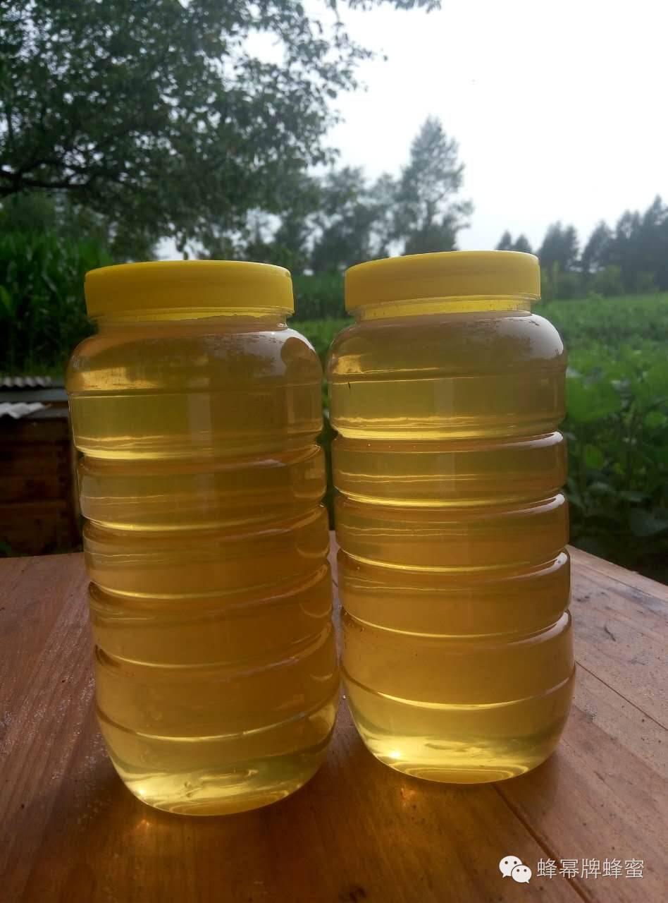 蜂蜜保质期 恒寿堂蜂蜜柚子茶价格 蜂蜜黑芝麻 蜂蜜作用 蜂蜜价格