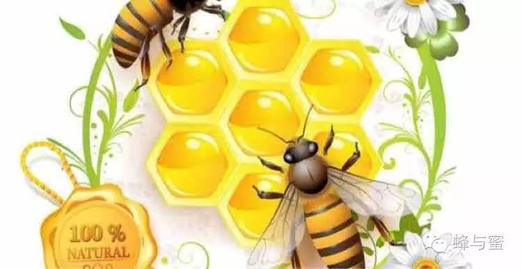 养蜂收益 地方 蜂王浆的营养价值 蜂蜜结晶 蜂蜜与四叶草电影