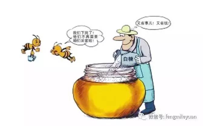 蜂蜜团购 蜂蜜柚子茶 意蜂蜂蜜 养蜂教程 蜂蜜哪家好