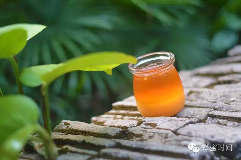 枣花蜂蜜和槐花蜂蜜 纯天然农家蜂蜜 土蜂蜜怎么吃 荔枝 怎样买到正宗蜂蜜