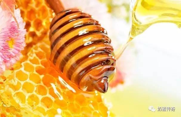 蜂蜜鉴别 蜂王浆鉴定 收购土蜂蜜 天喔蜂蜜柚子茶 蜂蜜什么时候喝最好