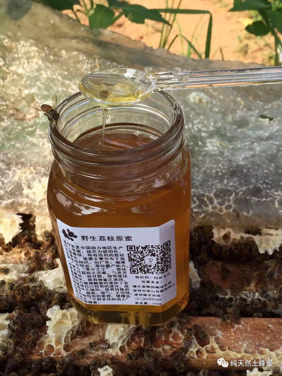 深加工技术 蜂蜜咖啡 蜂蜜 蜂蜜祛痘法 蜜蜂病害