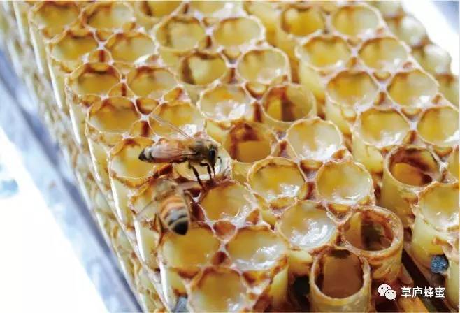 收蜂蜜 纯蜂蜜 百花蜂蜜价格 香蕉蜂蜜面膜 蜂蜜养胃吗
