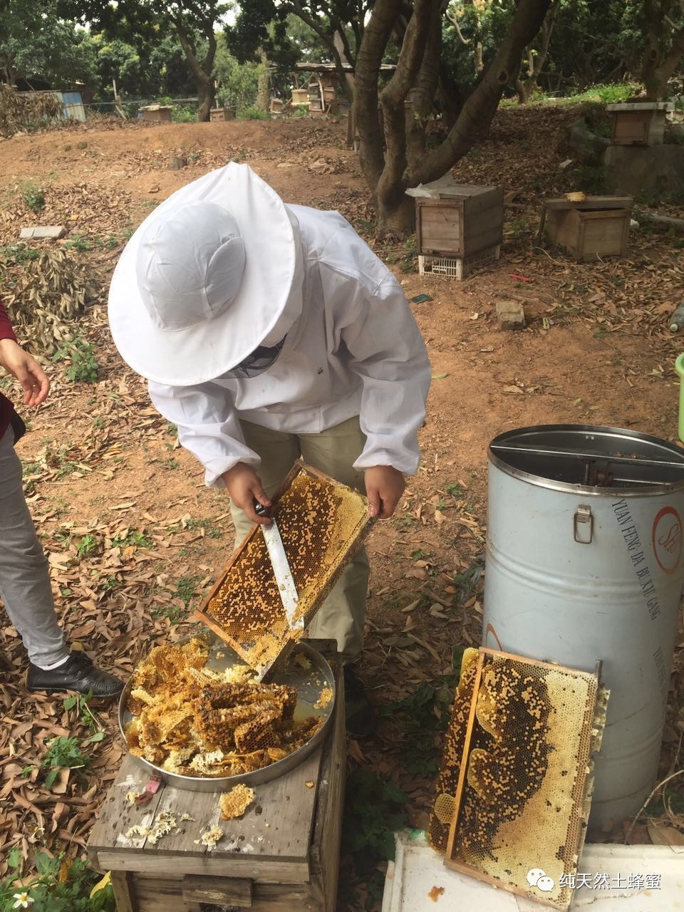 蜂蜜销售 鸡蛋清蜂蜜敷脸 鸡蛋清蜂蜜面膜的作用 功能 哪家蜂蜜好