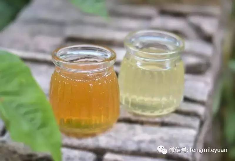 含水量 蜂蜜作用 龙眼蜂蜜 纯天然蜂蜜价格 喝蜂蜜柠檬水的9个好处