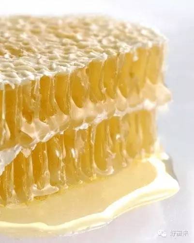 电导性 食品 蜂蜜减肥 姜和蜂蜜的作用 龙眼蜂蜜
