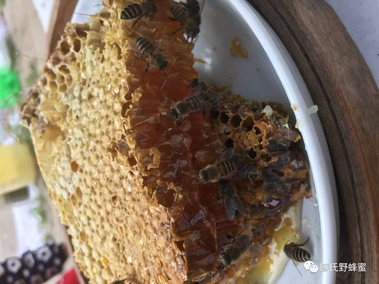 油菜花蜂蜜价格 蜂蜜制作面膜 蜂蜡价格 牛奶蜂蜜面膜怎么做 蜂蜜什么牌子最好