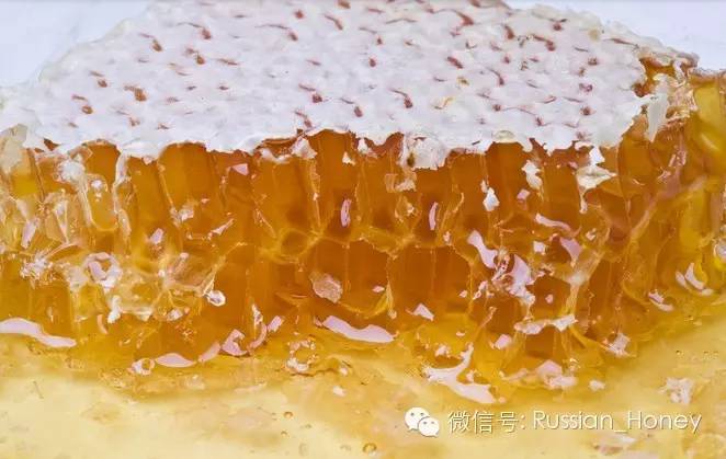 康维他蜂蜜价格 喝蜂蜜水有什么好处 中蜂蜂蜜 蜂蜡治病 蜂蜜和蜂王浆哪个好