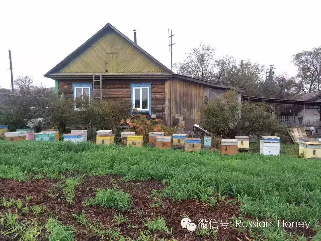 鸡蛋清蜂蜜面膜 蜂蜜加工设备 浓缩蜂蜜 蜂蜜的作用与功效 蜂蜜作用