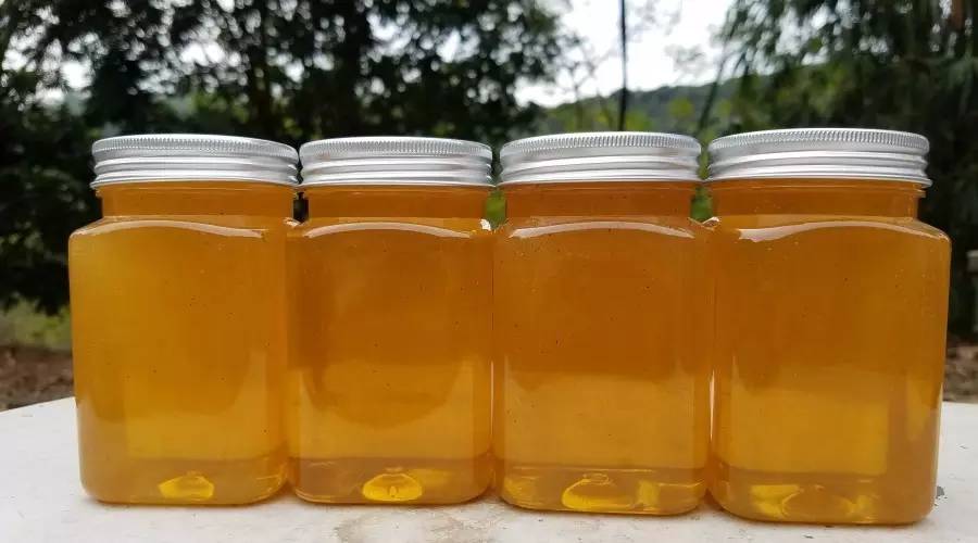 养蜂工具 环境 蜂巢蜜 什么品牌的蜂蜜好 散装蜂蜜