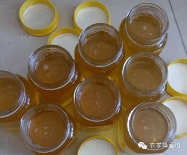 大蜂螨 蜂蜜的种类 酶 蜂蜜结晶 网上买蜂蜜