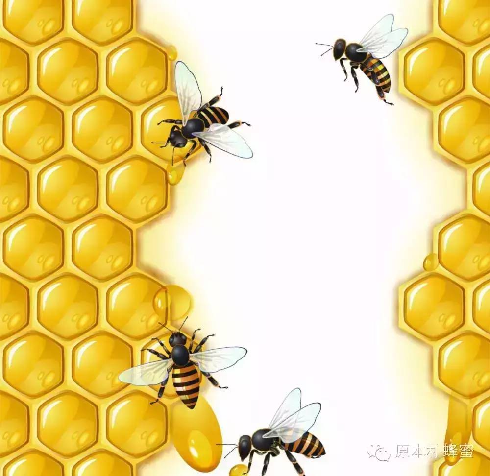 蜂蜜柠檬水的禁忌 蜂蜜真假 蜂蜜怎么喝 芦荟蜂蜜 哪种蜂蜜比较好