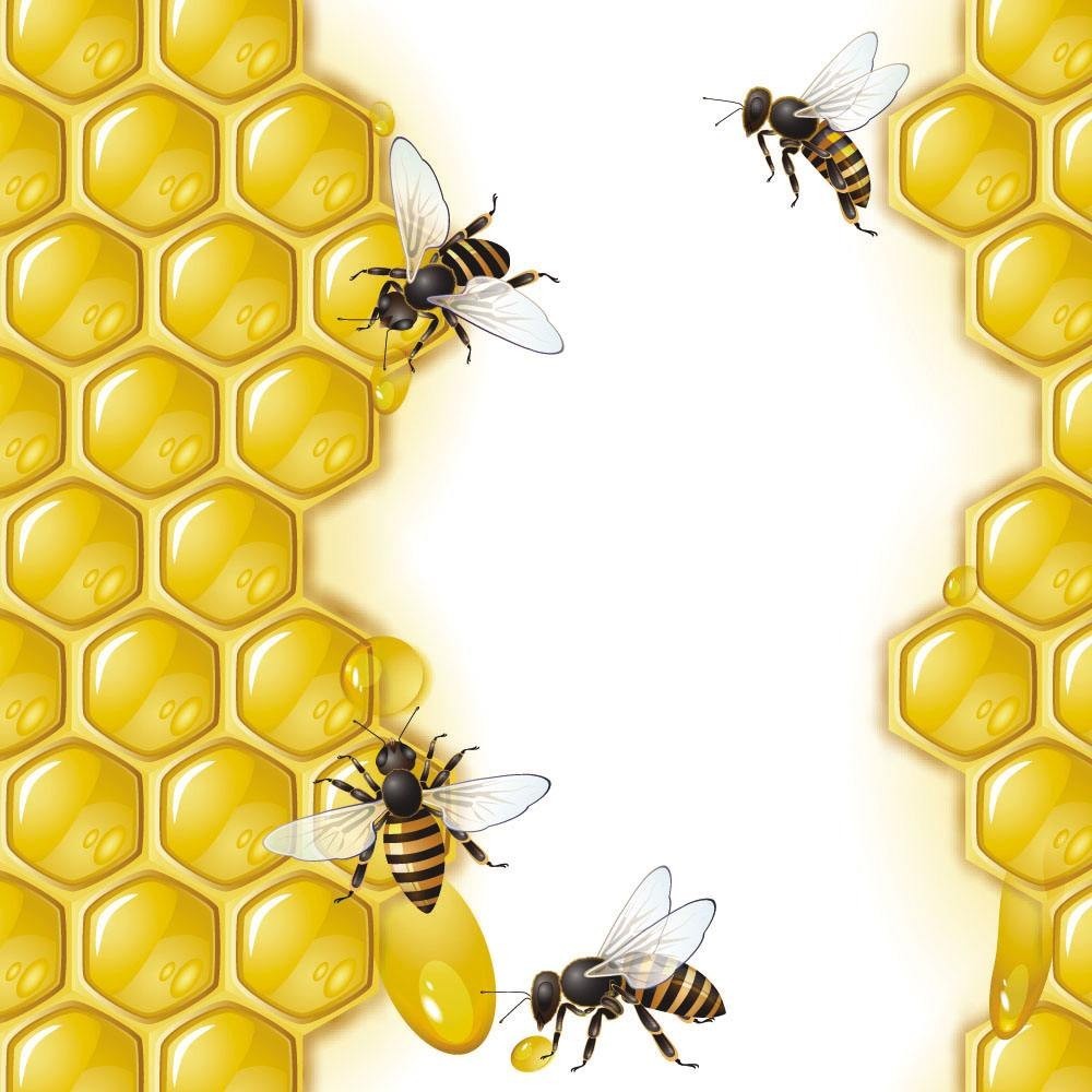 柠檬蜂蜜 哪里能买到纯蜂蜜 黄褐 椴树蜂蜜价格 晚上喝蜂蜜水好吗