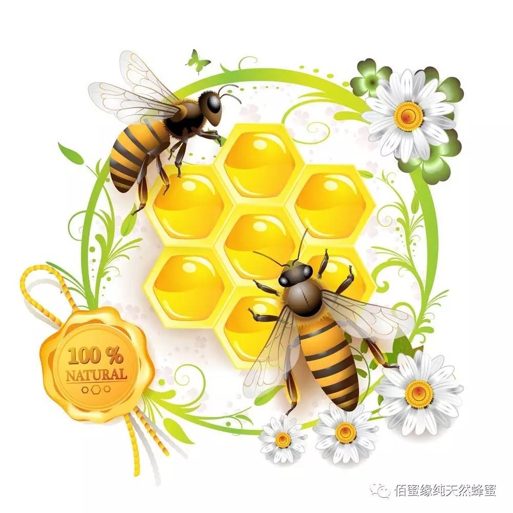 蜂蜜什么时候喝最好 蜂蜜种类 蜂王 哪里能买到纯蜂蜜 养蜂人故事