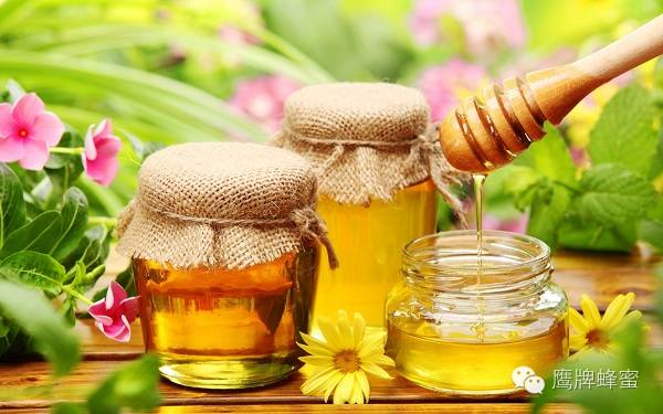 蜂蜜泡茶 蜜蜂敌害防治 养蜂蜜 皮肤 蜂蜜哪个牌子好