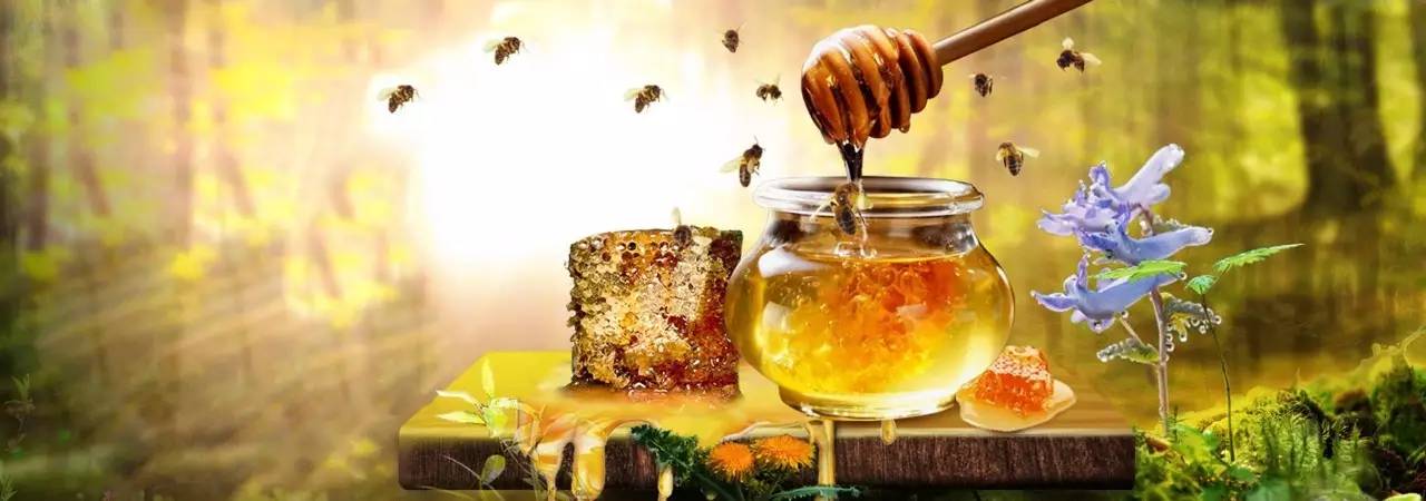 氨基酸 蜂蜜商标 常喝蜂蜜的好处 生姜蜂蜜水 野蜂蜜