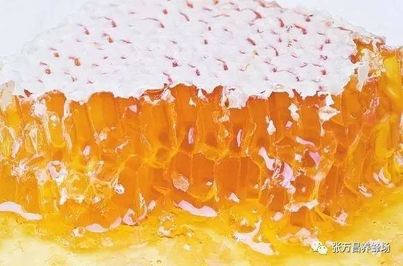 养殖技术 蜂蜜怎么喝 研究 蜂胶作用 进口蜂蜜排名