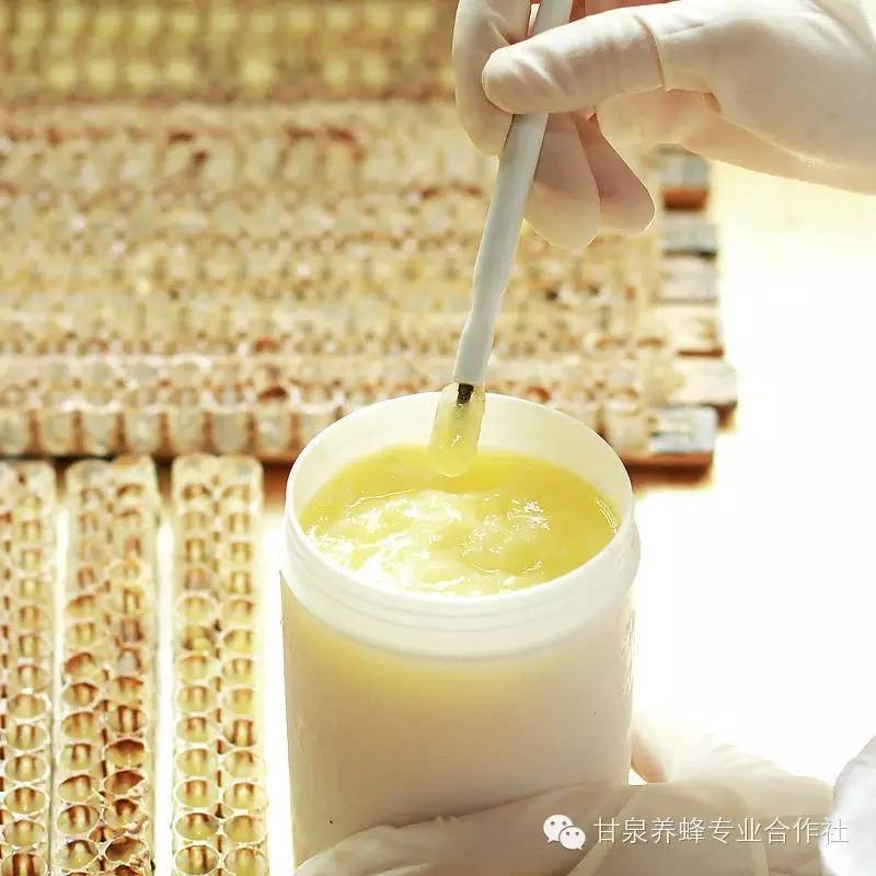 柠檬蜂蜜祛斑面膜 蜂蜜加工设备 假蜂蜜 蜂王浆的作用与功效 什么牌子的蜂蜜正宗