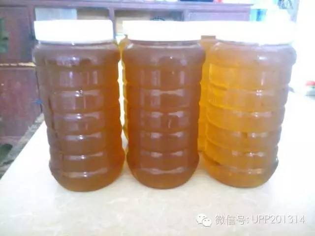 蜂蜜保质期 蜂蜜的功效与作用 黑蜂蜂蜜 蜜蜂病害防治 蜂蜜美容面膜