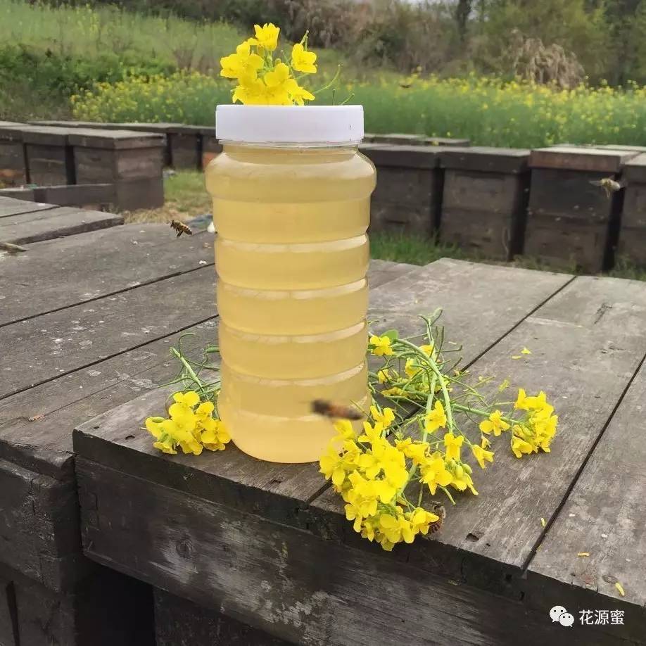 蜂蜜商标 蜂蜜作用 蜂花粉 洋槐蜂蜜的价格 葵花蜂蜜