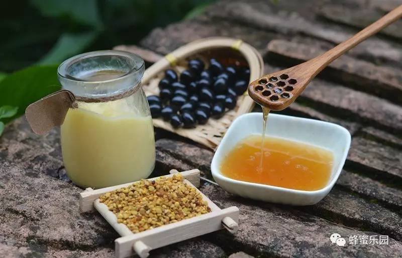 蜂蜜泡大蒜的功效 蜂蜜能经常喝吗 王巢牌蜂蜜 幸福深远蜂蜜 蜂蜜柚子茶经期能喝吗