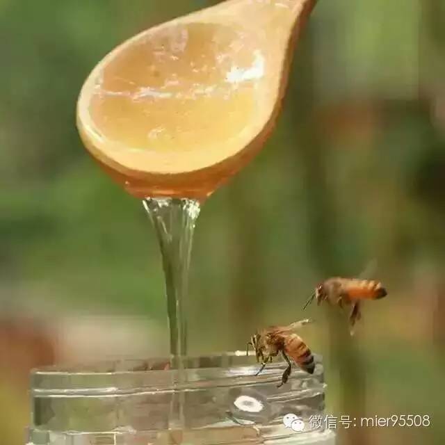 蜂蜜带给我们的不仅仅是甜蜜，更多的是健康！