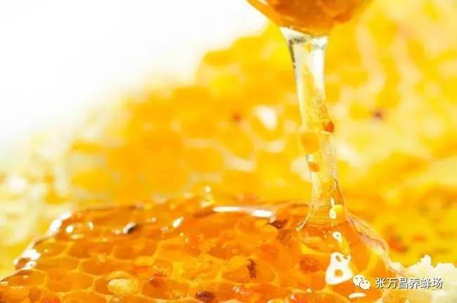 蜂蜜——天然的抗生素