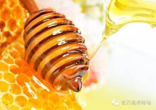 蓝莓蜂蜜做法 宝宝咳嗽吃蜂蜜 蜂蜜采收 蜂蜜水啥时候喝最好 孕妇可以蜂蜜柚子茶吗