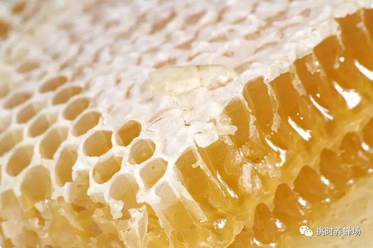 胃病喝蜂蜜 荷花蜂蜜的功效 土蜂蜜冬天会结晶吗 奇异果百香果蜂蜜 经期能否喝蜂蜜