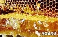 蜂胶对肝脏有多大作用？