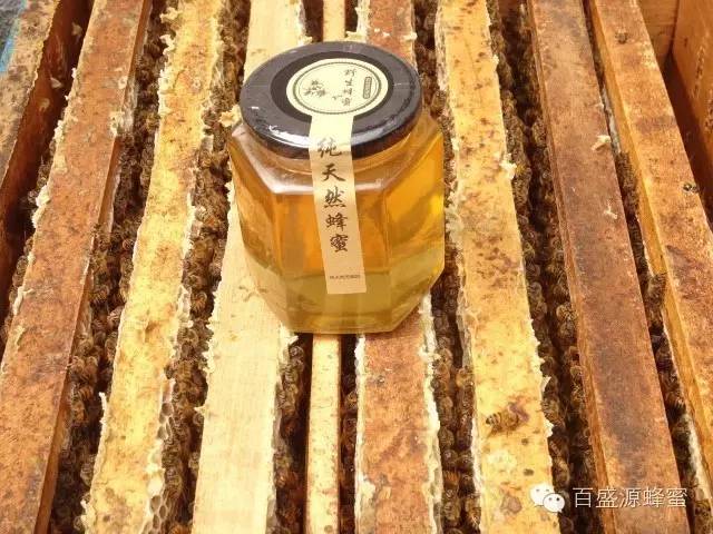 红枣芝麻核桃蜂蜜 乳腺增生可以喝蜂蜜 蜂蜜姜末水能减肥吗 女人蜂蜜 春雨蜂蜜面霜怎么样