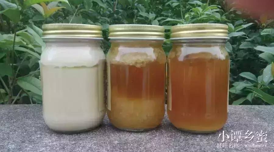 蜂蜜+圣品 蜂蜜质量辨别 高酶蜂蜜 蜂蜜绿茶饮 姜蜂蜜水
