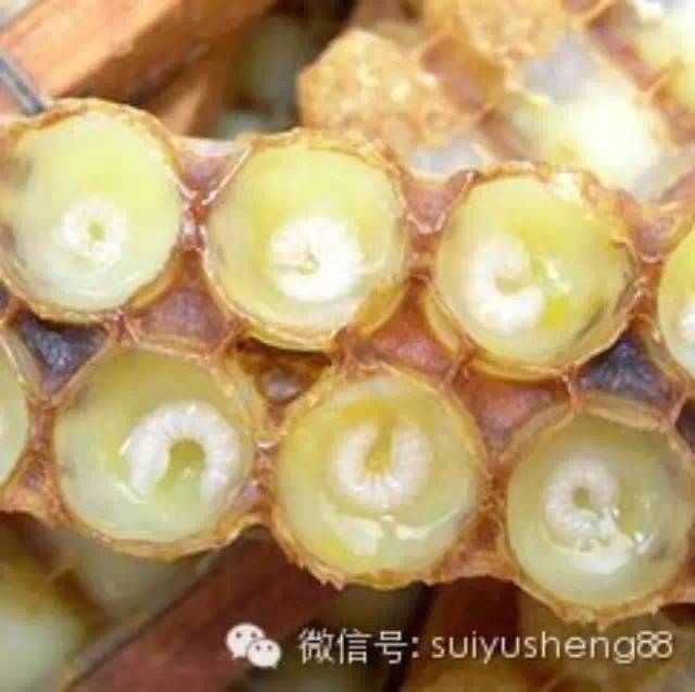 蜂蜜水头晕 蜂蜜怎么是红色的 采能蜂蜜 瓶装蜂蜜图片 蜂蜜姜茶的作用