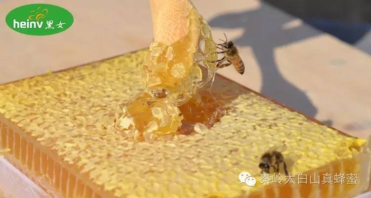 蜂蜜深色好还是浅色好 每天用酸奶珍珠粉蜂蜜 如何挑选蜂蜜 淄博电视台助农蜂蜜 天一蜂蜜价格